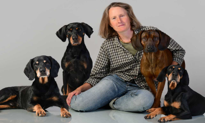 Jagdhunde als Familienhunde – Beschäftigung und Auslastung