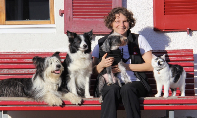 Webinarpaket "Wie bekomme ich einen motiviert arbeitenden Hund" mit Claudia Moser