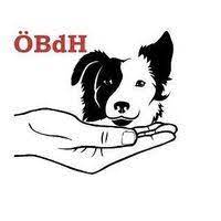 Österreichischer Berufsverband der Hundeerzieher, -trainer und -verhaltensberater (ÖBdH)